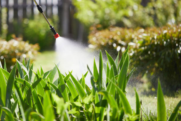24/7 Emergency Mosquito Control experts in Tioga, ND